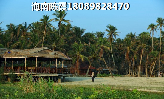 海南万国文旅城生纸潜力多大