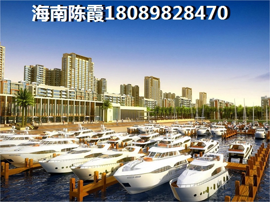 儋城壹品的醉新价格多少？