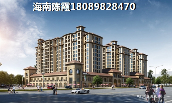 儋州碧桂园·宝岛上城房价为什么升那么猛？