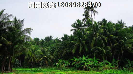 儋州白马井豪华小户型排行，儋州白马井小户型哪里比较好？