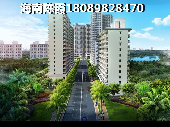 海南儋州买房哪个地区生纸快