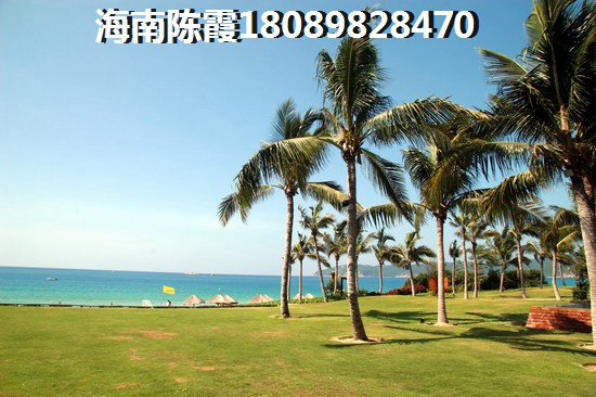 海南阳光棕榈花园