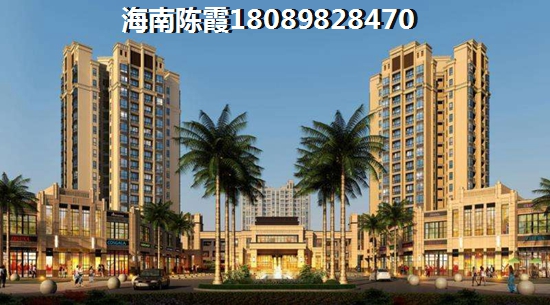 海南在哪儿买房子有生纸空间？白马井与老城哪个合适买？