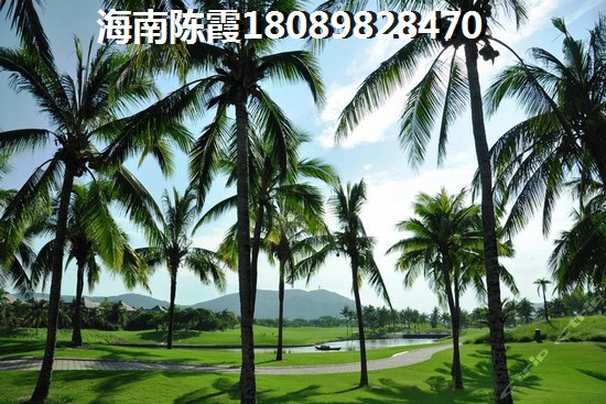 洋浦经济开发区买房touzi买哪个地段好？