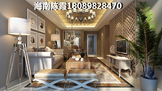 海南百兴城房子升值空间越来越大，百兴城2025房价将如何上涨！