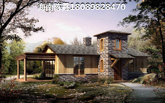 儋州醉便宜的房地产